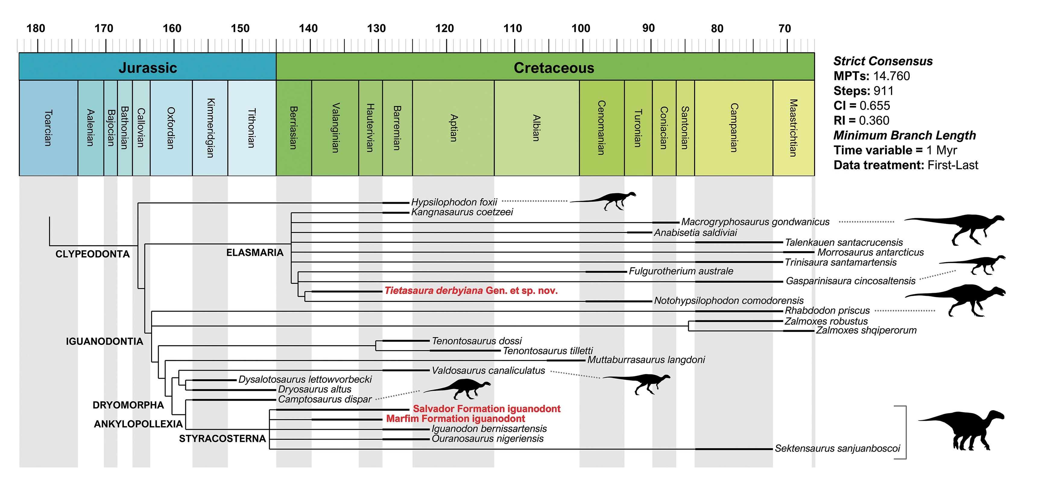 rvore representando as relaes evolutivas dos dinossauros ornitsquios da Bacia do Recncavo.