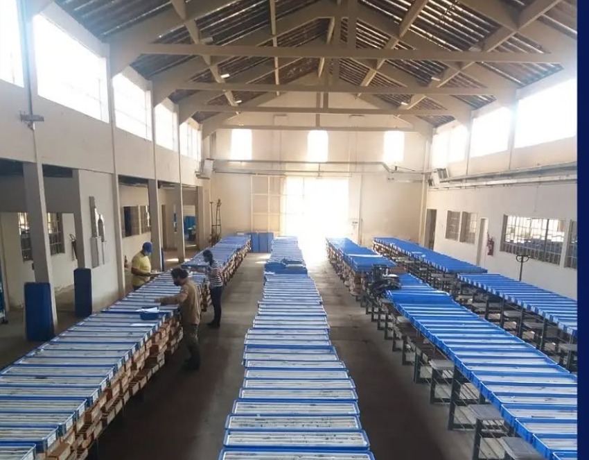 Foto: Divulgação/SGB