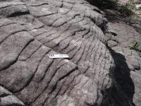 Afloramento do arenito Tacaratu onde está claramente marcado, através do corte, estratificações plano-paralelas espaçadas em poucos centímetros. Foto: Rogério Valença Ferreira.