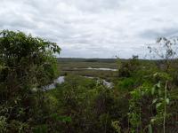 Vista do pantanal de Marimbus no trajeto para Fazenda Roncador. Foto: Violeta de Souza Martins, 2021.