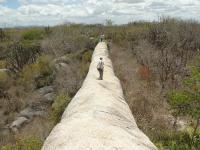 Afloramento do geossítio Muralha do Cariri em meio a superfície aplainada dos Cariris Velhos. Foto: Rogério Valença Ferreira.