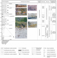 Perfil estratigráfico ilustrado do afloramento Morro do Papaléo, detalhando os níveis fossilíferos, as principais
fácies encontradas, as superfícies erosivas e a distribuição dos paleoambientes, das seqüências estratigráficas, das fitozonas
e da única palinozona registrada. Baseado em Iannuzzi et al. (2003a, b).