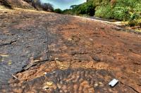 Vista geral do geossítio Tapera, com uma pista de crocodiliano em primeiro plano. Crédito: Rafael Costa da Silva