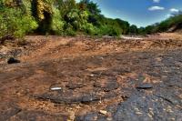 Vista geral do geossítio Tapera, com uma pista de crocodiliano em primeiro plano. Crédito: Rafael Costa da Silva