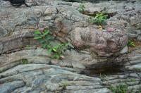 Boudin em rocha quartzitica da formação Rio do Ouro, no sítio Cachoeira das Arapongas. Foto: Ricardo Fraga
