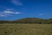 Vista do setor oeste do Cerro Colorado. Fotografia: Paula Segalla e André Studzinski, 2015.