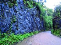 Talude de corte da estrada Apiaí-Iporanga com boas exposições de mecalcário e metacalcoarenito da Formação Bairro da Serra exibindo feicões deposicionais bem preservadas.