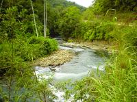 O rio passa pelas proximidades do Geossítio com as águas límpidas, rápidas, turbulentas e formando bonitas corredeiras.