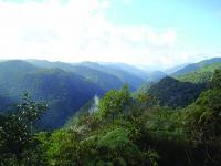 Cenário do retilíneo Vale do Betari.