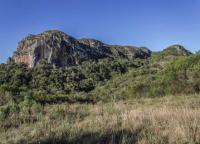 Vista da face sul-sudeste onde no entorno predomina campos sujos e vegetação rupestre. Fotografia: Paula Segalla e André Studzinski, 2015.