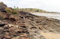 Acamamento ígneo encurvado nos riolitos da Ilha de Santo Aleixo. Foto: Marcos Nascimento.