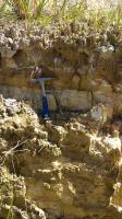 Detalhe de campo do afloramento da Formação Algodoais com arenito no topo e conglomerado na base. Foto: Rogério Valença Ferreira.