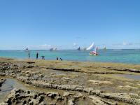 Vista da parte exposta do arenito durante a maré baixa com os corais submersos à retaguarda, onde se observa jangadas que levam turistas para observar os recifes. Foto: Rogério Valença Ferreira.