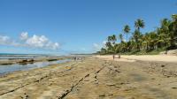 Vista do geossítio Recife de Arenito de Muro Alto no sentido NE-SW com a Praia do Cupe ao fundo. Foto: Rogério Valença Ferreira.