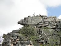 Topo do Castle Koppie, onde se observa o padrão de fraturas ortogonais com blocos de diversas dimensões. O bloco maior no topo, lado esquerdo da foto, tem aparência com a cabeça de um gavião, que dá o nome ao sítio. Foto: Rogério Valença Ferreira.