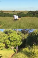 Fig. 2 - a) Vista do local onde se encontra a trilha que dá acesso a cachoeira; b) entrada da trilha na mata de galeria que dá acesso ao cachoeira.