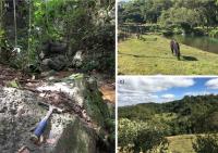 Fig. 3 - a) Vale Encantado logo após a cachoeira, seguindo o riacho; b) paisagem na área de lazer da RPPN Vale Encantado; c) morros com matas preservadas na RPPN Vale Encantado.