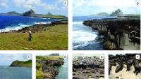 A) Vista da plataforma sul da Ilha Rata, em direção à Fernando de Noronha, onde ocorrem os depósitos de sedimentos biogê-nicos, anteriormente lavrados para fosfato; B) Escarpa constituída por sedimentos biogênicos (brancos) recobertos por uma capa de terrígenos (marrom escuro), que por sua vez estão recobertos por um nível de conglomerados grossos que capeiam esta porção da ilha, cimentados por carbonatos; C) Derrames ankaratríticos na parte norte da Baía da Ressurreta; D) Sedimentos biogênicos na borda da Baía da Ressurreta, onde tem um ponto de mergulho; E e D) detalhe dos sedimentos terrígenos que recobrem os biogênicos.  Fotos: Wilson Wildner