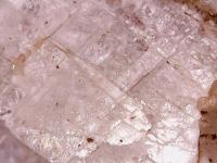 Grãos de calcita sob lupa eletrônica.