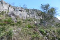 Paredão de metarenito da Formação Ouricuri do Ouro que forma o paredão do mirante do Bittencourt. Foto: Rogério Valença Ferreira, 2015.