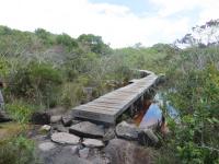 Passarela instalada na trilha da cachoeira, no Parque Nacional da Chapada Diamantina.Foto Violeta de Souza Martins,2020.