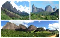 A) Alinhamento de pontões no Córrego Palmital em Pancas-ES. B) Pontões e “Pães de Açúcar” em Pancas - ES. C) Alinhamento de pontões em Águia Branca – ES. (Autoria das fotos: Hérick Moulin, 2017).