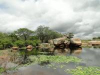 Detalhe da Lagoa da Cunhã, formada sobre afloramento granítico, onde estão assentados matacões de diversos tamanhos. Foto: Rogério Valença Ferreira.