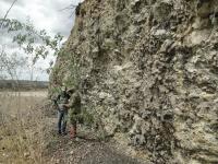 Frente de lavra com aproximadamente 5 metros de altura formada por um derrame vulcânico de basaltos. Foto: Rogério Valença Ferreira.