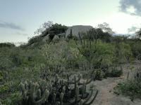 Visão geral do sítio Pedra Oca, que é um bolder de grandes dimensões, em parte fragmentado (split rock). Foto: Rogério Valença Ferreira.