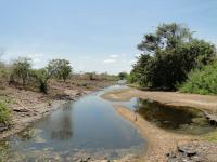 Planície aluvial do Rio do Peixe na localidade do Piau.  Crédito: Rogério Valença Ferreira