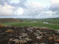 Relevo de morros baixos em contato com a planície fluvial do rio Ipojuca vista do topo do Riolito Ipojuca. Foto: Rogério Valença Ferreira.