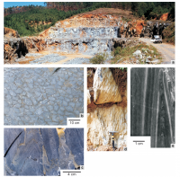 (a) Vista da Pedreira Indumine; (b) Corte transversal de amostra em exposição na Escola Técnica de Mineraçãovde Itapeva; (c) Corte longitudinal de colunas deformadas de Conophyton, próximas entre si, com laminação cônica e zona axial evidente; (d) Estroma