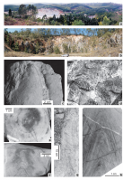 a) Vista da pedreira ativa em Lavrinhas; (b) Pedreira abandonada em Lavrinhas; (c) O ápice cônico de uma coluna de Conophyton preservado tridimensionalmente; (d) Colunas de Conophyton com contornos elípticos; (e) Coluna de Conophyton com contorno transver