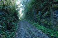 Vista de um dos trechos da estrada, com bons afloramentos de metacalcário em seu talude de corte. 