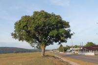 Tepequém, vila do Paiva