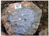 Brecha polimíctica de impacto (“impactito”), formada majoritariamente por fragmentos de tamanhos variados 
de basalto, com contribuição secundária de arenitos e siltitos. A matriz é composta por material extremamente fino derivado de basalto. Quando fresca, a rocha exibe a cor característica cinza-metálica observada na parte central da brecha da foto; ao sofrer intemperismo essa cor muda para marrom-acinzentada, exibida na parte periférica da brecha (Fonte: Crósta et al., 2013 - Registro SIGEP).