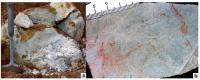 Arenito quartzítico: (a) bloco sub-métrico de arenito quartzítico branco em meio a solo residual; (b) arenito quartzítico exibindo forte cataclase (Fonte: Crósta et al., 2013 - Registro SIGEP).
