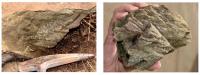 Agregados de cones de estilhaçamento (shatter cones) em basalto imersos em brecha polimíctica; amostras 
provenientes da pedreira da entrada do bairro de Vista Alegre (Fonte: Crósta et al., 2013 - Registro SIGEP).