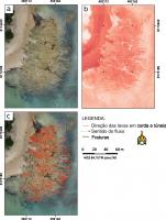 Ortofoto reconstituída a partir de levantamento aéreo com drone (a), a uma altitude de 60 metros. Nela é possível ver toda a extensão do afloramento vulcânico na Praia da Pitinga, Porto Seguro. A área aproximada é de 8051 metros quadrados. A imagem (b) foi obtida a partir da separação da banda vermelha no espectro de cores RBG. O canal vermelho foi o que melhor destacou as estruturas vulcânicas e a partir dele, foi possível fazer a interpretação das direções das lavas em corda e túneis e as fraturas (c). Fonte: Turbay et al. 2024 (no prelo).