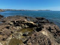 Afloramento do Conglomerado da Formação Salvador, na Ponta de Humatitá, com vista para Cidade Alta, Salvador/Ba.