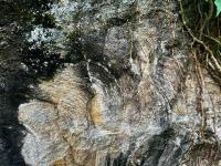 Dobras abertas na rocha granulítica. Parque Pedra de Xangô, Salvador/Ba.