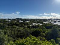 Parque das Dunas com vista para torre de comando do Aeroporto de Salvador/Ba.