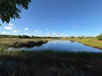 Maior lagoa do Parque das Dunas, Salvador/Ba. 