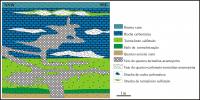 Fig. 6 - Seção geológica no principal nível mineralizado da Mina da Passagem. Compilado de Cavalcanti (2003).