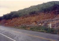 Afloramento do contato entre o arenito sigmoidal, na base com o arenito lamito no topo. Foto: Antônio Josè Dourado Rocha, 1995.

