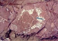 Presença de gretas de contração evidenciando o ambiente sedimentar de planícies de marés.  Foto: Antônio José Dourado Rocha, 1995.