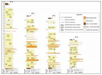 Figura 2 – Seções estratigráficas na localidade tipo do grupo Itacolomi (compilado de Duque 2018).